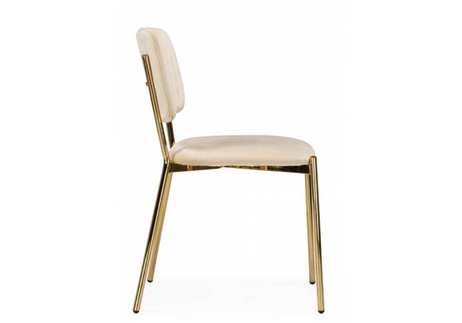 Armond beige / gold